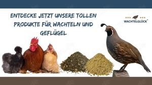 Entdecke unsere WachtelGlück  Produkte für dein Geflügel