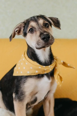 Kleine Ruby möchte eine Familie