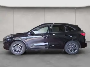 Ford Kuga 2.5 Duratec PHEV ST-LINE X Bild 2