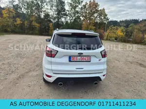 Ford Kuga Bild 2