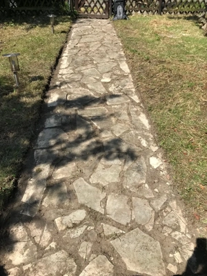 Traum Haus in Lichtenrade  Bild 5