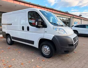 Fiat Ducato Bild 3