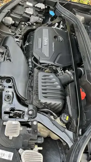 BMW X2 sDrive 20 i M Sport Bild 5