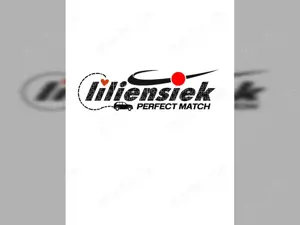 Volkswagen Passat Variant 2.0 TDI DSG Business *LED*PDC*Navi* Bild 2