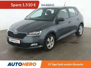 Skoda Fabia 1.0 TSI Style*LIMITER*CAM*PDC*SHZ*KLIMA*