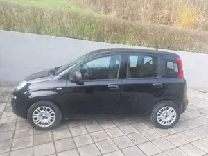 Fiat Panda Panda 1.2 8V Easy