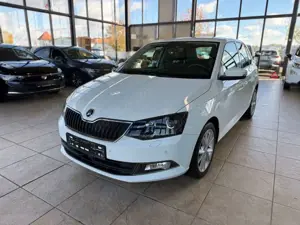 Skoda Fabia Joy  Automatik