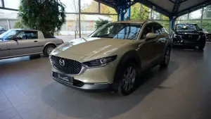 Mazda CX-30 2.5L e-SKYACTIV 140ps 6AT FWD Takumi BLOP