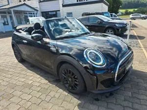 MINI Cooper Cabrio Aut. NAVI PLUS KOMFORT HUD Bild 4