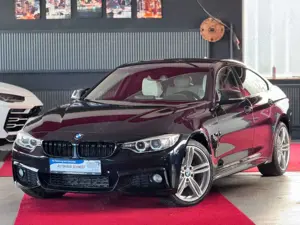 BMW 420 420d Gran Coupé M Paket xDrive Sportautomatik 19