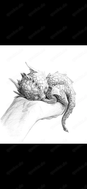 Einfühlsamer sucht reife Kuschelmaus