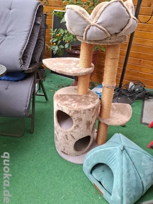 massiver großer Katzenbaum