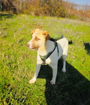 Leonie ein tolles Mädchen 