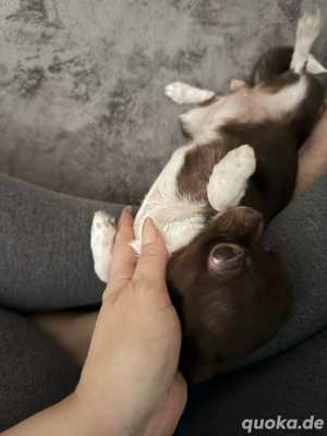 chi mädchen  Bild 2