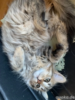 Hallo Du, ja genau Du!