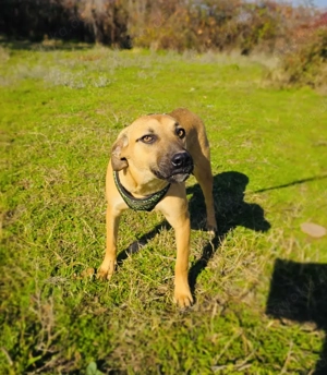 Kati sucht ein Zuhause 