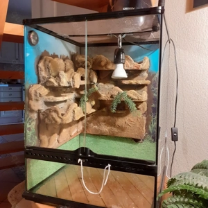 Terrarium Reptilien Geckos Exo Terra 45x45x60