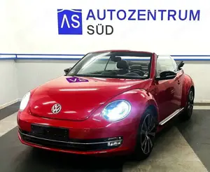 Volkswagen Beetle Cabriolet Sport DSG SHZ Leder NAV
