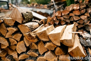 Brennholz & Kaminholz günstig kaufen