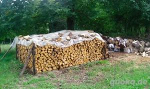 Brennholz & Kaminholz günstig kaufen