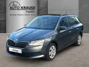 Skoda Fabia Combi 1.0 TSI Active OPF SHZ Tel.-Vorb. GA Freispr