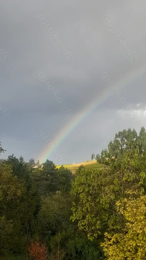 Hilfe bei Ruhestörung in einer Mietwohnung...