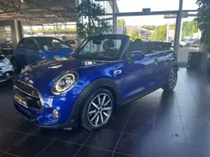 MINI Cooper Cabrio Cooper S Chili LED NAVI ALU Bild 4