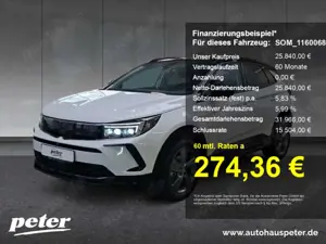 Opel Grandland Grandland Automatik Alcantara Allwetter (THC)