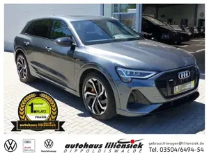 Audi e-tron 55 quattro 300KW S line *AHK*LED*BO*