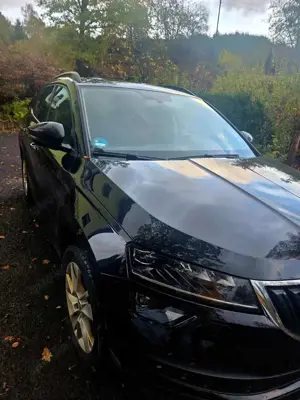 Skoda Karoq Karoq 2.0 TDI SCR 4x4 Ambition Bild 3