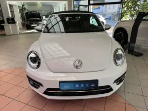 Volkswagen Beetle Cabriolet 1.2 TSI. Bi-Xenon+App+Navi Bild 3