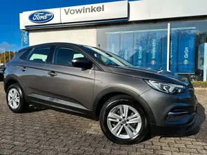 Opel Grandland X Edition Navi+LED+PDC+DAB+Allwrr