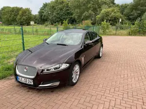 Jaguar XF XF 3.0 V6 Diesel