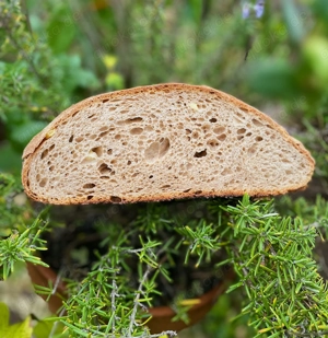 Mehl von der Meraner Mühle kostenlos abzugeben 