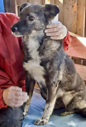 Seniorin Nancy   Es geht um die Wurst Bild 2