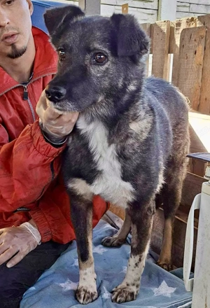 Seniorin Nancy   Es geht um die Wurst Bild 5