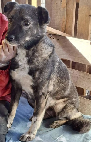 Seniorin Nancy   Es geht um die Wurst Bild 3