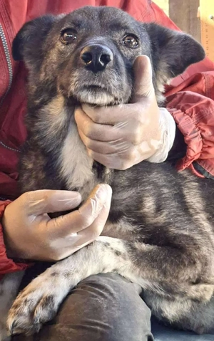 Seniorin Nancy   Es geht um die Wurst Bild 6