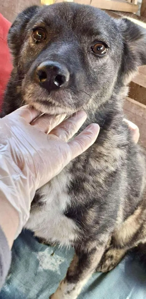 Seniorin Nancy   Es geht um die Wurst Bild 7