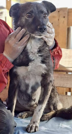 Seniorin Nancy   Es geht um die Wurst Bild 9