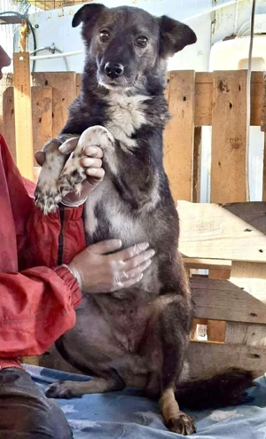 Seniorin Nancy   Es geht um die Wurst Bild 10