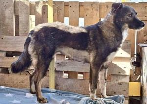 Seniorin Nancy   Es geht um die Wurst Bild 8