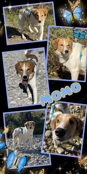 Hübscher Momo wartet in München!