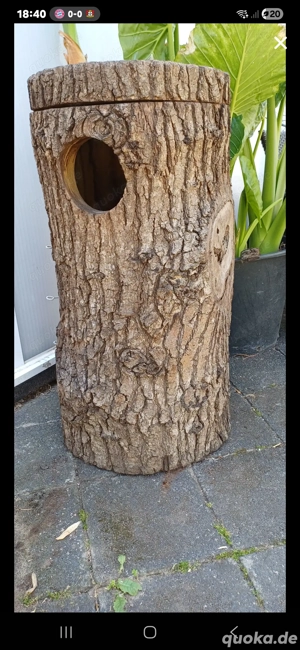 Riesen Niststamm   Bruthöhle 