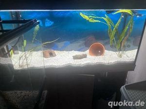 juwel rio 350 + unterschrank und zubehör 