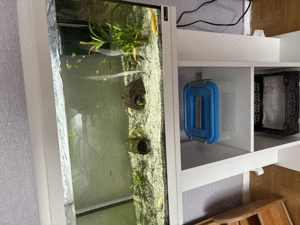 Aquamarin mit schrank