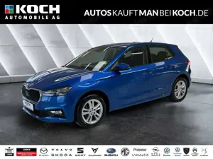 Skoda Fabia 1.5 TSI DSG Selection BEH WSS KLIMAAUT SHZ