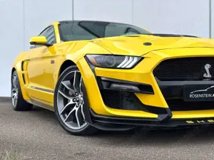 Ford Mustang GT Coupe 5.0 V8 GT500 Opt/Recaro/ACC/R20 Bild 4
