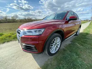 Audi Q5 Q5 2.0 TDI Design 40 Allrad S-Tronic Standheizung