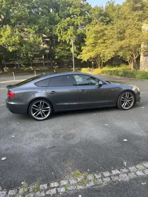 Audi A5 Sportback 3.0 TDI quattro S tronic sport Bild 4